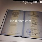 Диплом о высшем образовании 2010-2011 годов, титульный лист-4